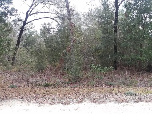 12351 NE 91st Ct, Archer, FL 32618