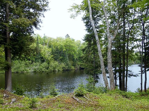 4th image of 36279 W Tahquamenon Trl