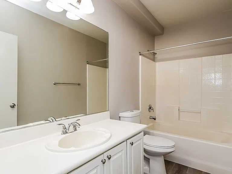 951 Ostrich Fern Ct — Photo 11