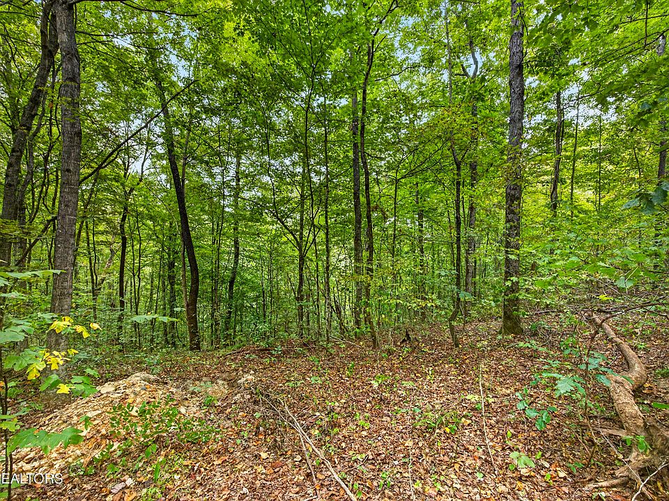 1st image of 32 Timber Ridge Ln