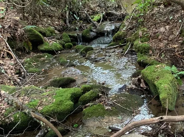 Lt 9 &10 Shady Oak Trail, Cullowhee, NC 28723