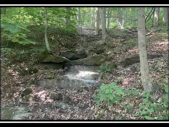 0 Potts Hill Rd Tract 3, Bainbridge, OH 45612