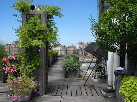 Rented by David Francis New York LLC | media 20
