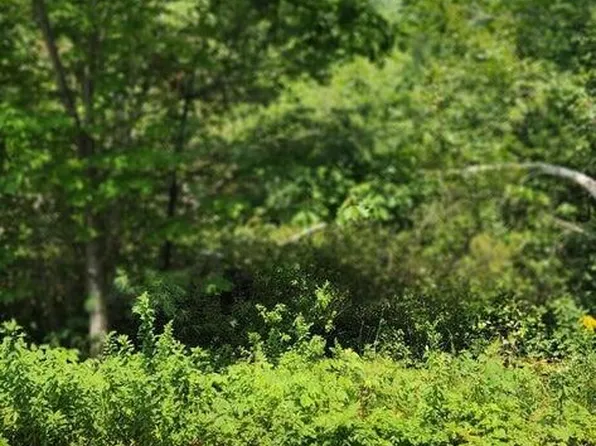 Lot#33 Shore Acres Road, Parsonsfield, ME 04047