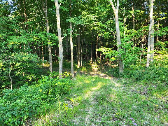 3rd image of 2541 Blue Star Hwy