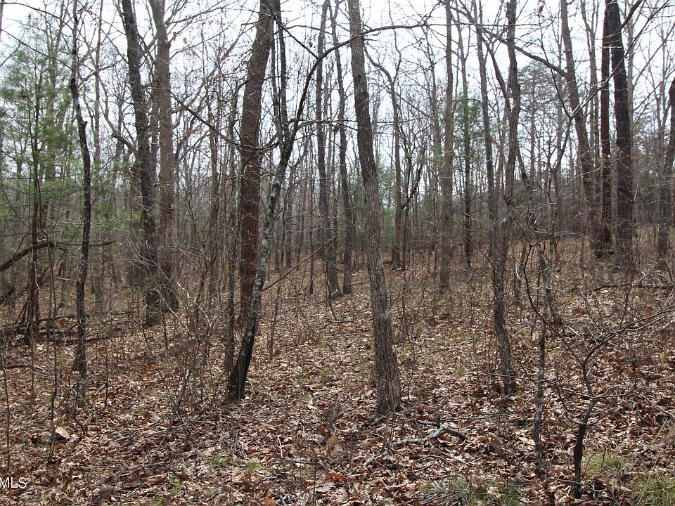 2nd image of 12 Grenta Ct