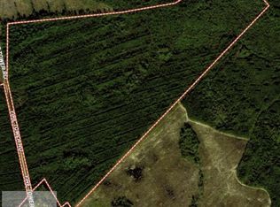 1 Fire Tower Rd SE, Ludowici, GA 31316