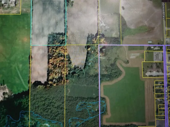 10000 Stephenson Rd, Onsted, MI 49265