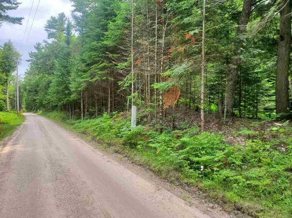 0 Carnegie Trail Vacant 4 550 #-042, Naubinway, MI 49762
