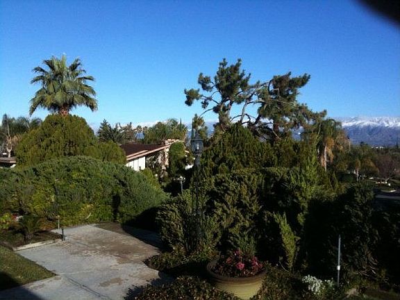 5th image of 11573 Hillcrest Ct