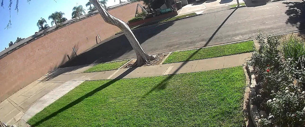 Moonbeam St, Placentia — Photo 3