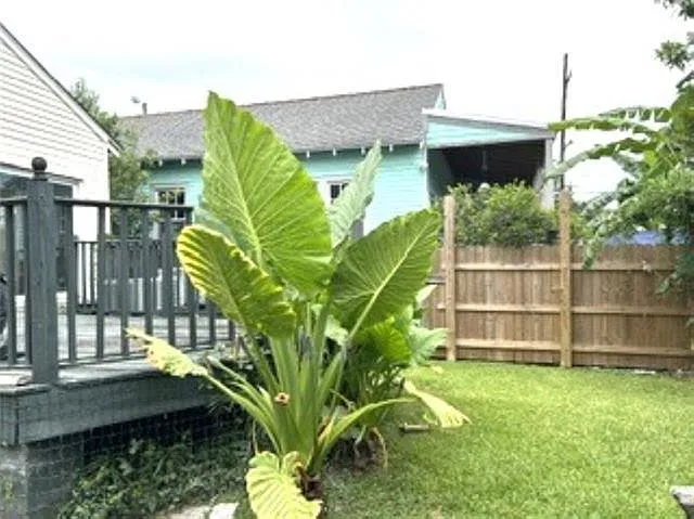 3906 Bienville St — Photo 21