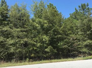 1079 Cheyenne Ct, Manning, SC 29102