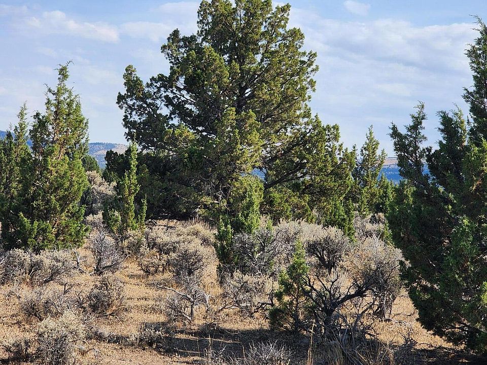 2nd image of SE Acacia Ln