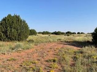 5542 Glasglow Dr #57, Snowflake, AZ 85937