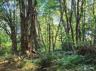 321 W Delight Park Rd, Shelton, WA 98584