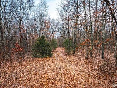 0 Christy Mine Rd, Bourbon, MO, 65441