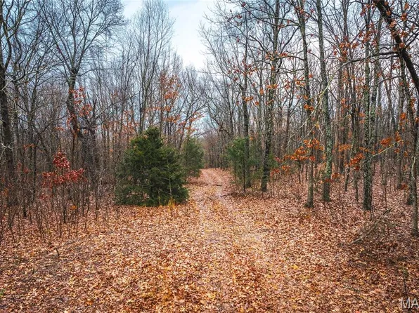 0 Christy Mine Rd, Bourbon, MO 65441