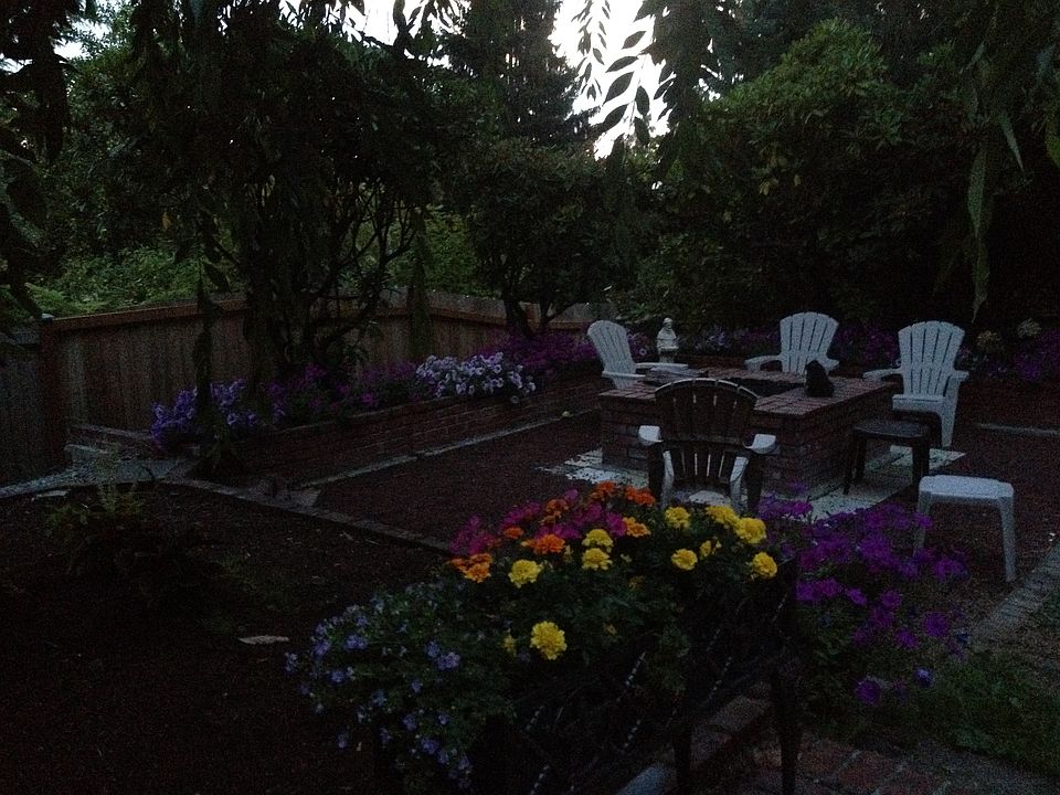 Fire Pit at Night