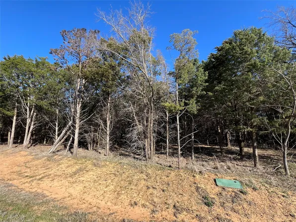 162 Pine Hills Ln, Gordonville, TX 76245