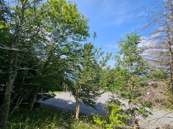 361 N West Ridge Rd, Snowshoe, WV 26209
