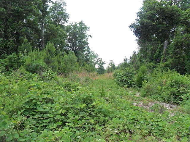 1st image of 0 S Uniroyal Rd