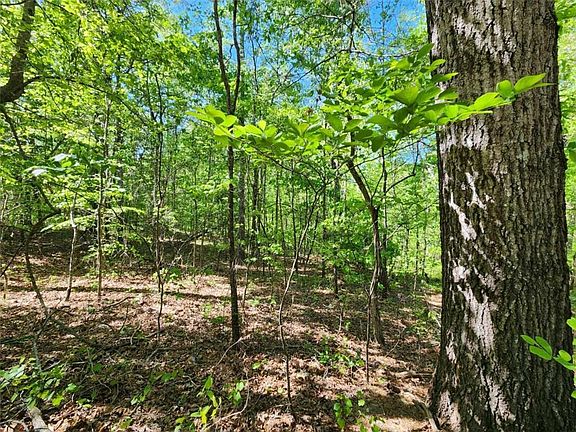 3rd image of 7210 Rand Dr Lot 23