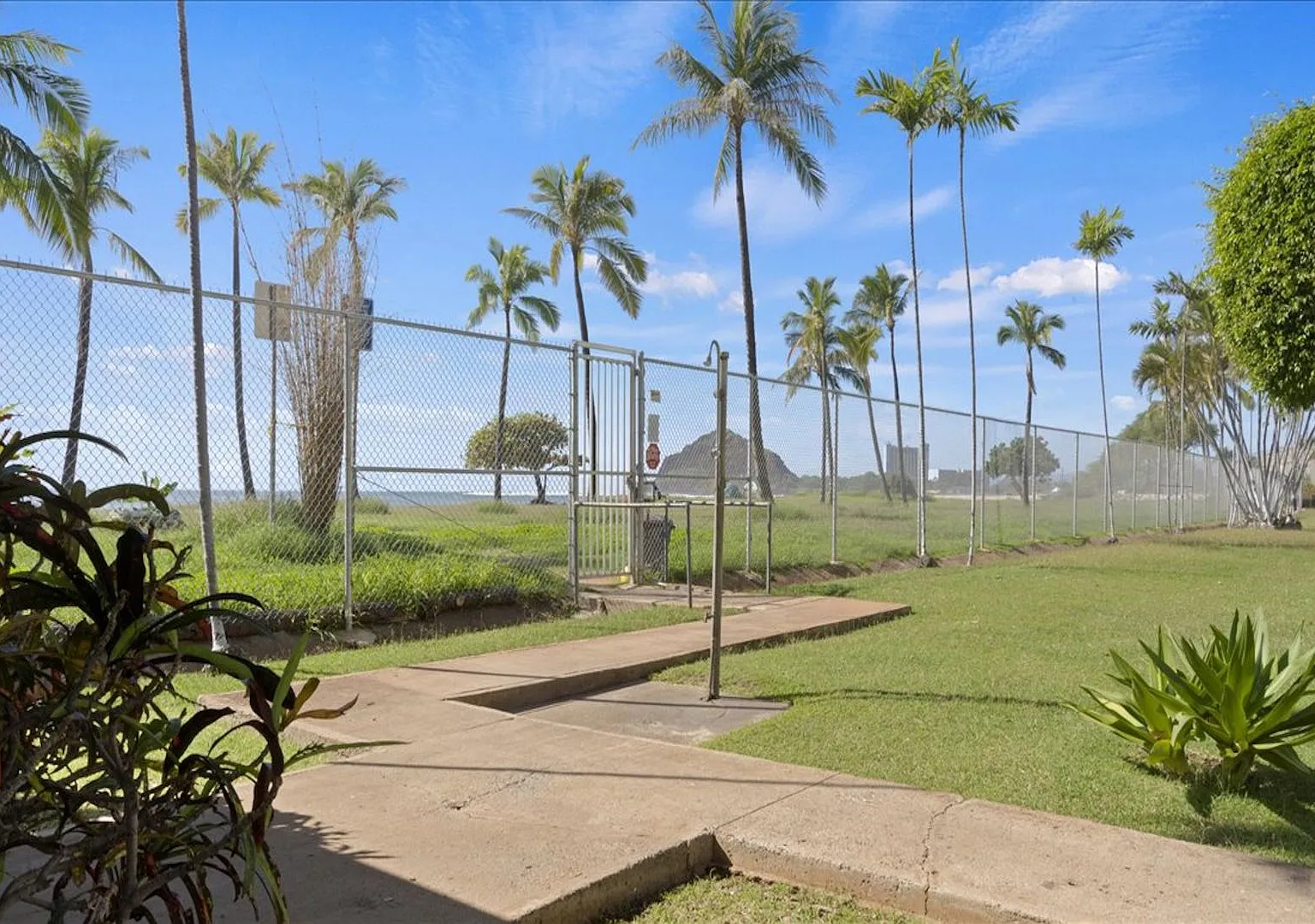 Makaha Surfside Studio — Photo 4