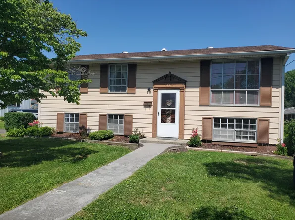 1314 S Dee Ave, Covington, VA 24426