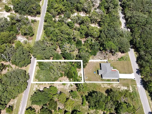 Malauka Trak Lot 24, Ocklawaha, FL 32179