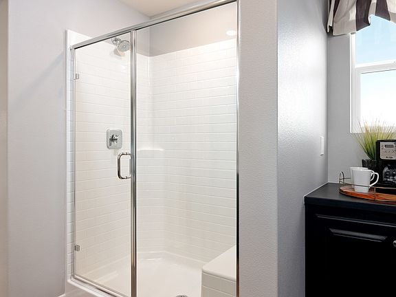 Owner s walk-in shower