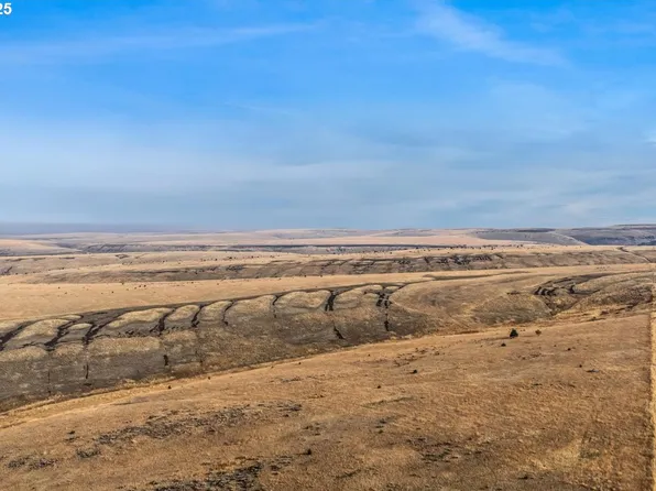 Badger Canyon Rd, Condon, OR 97823