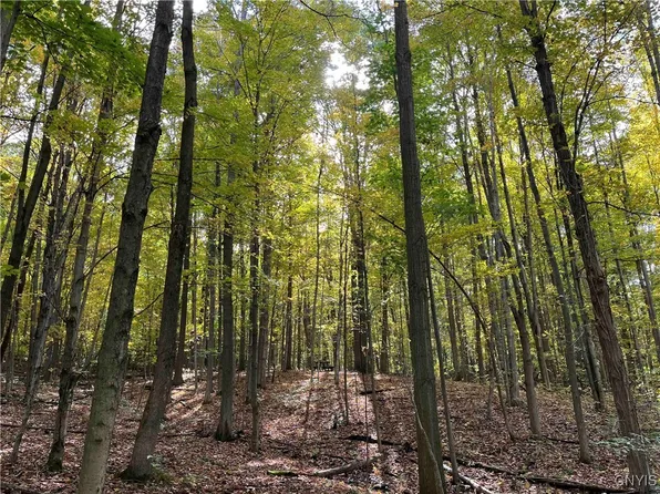 0 E Swamp Rd, Conesus, NY 14435