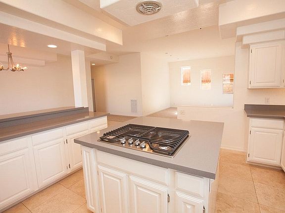 Large chef's kitchen