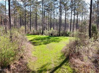 0 N Putnam Rd, Pickens, MS 39146