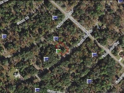 0 Guava Place Dr #15, Ocklawaha, FL, 32179