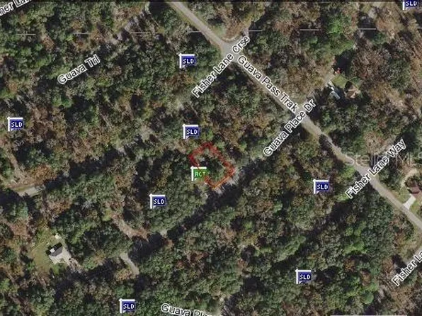 0 Guava Place Dr #15, Ocklawaha, FL 32179