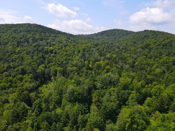 0 Davis Road, Bethel, VT 05032