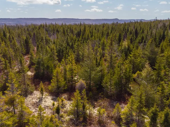 4 The Grant Preserve, Musquodoboit River, NS B0V 1V0