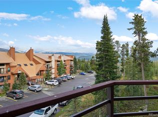 89100 Ryan Gulch Rd BLDG AA 303, Silverthorne, CO 80498