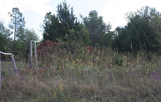 3rd image of Tbd E. Cr #1610
