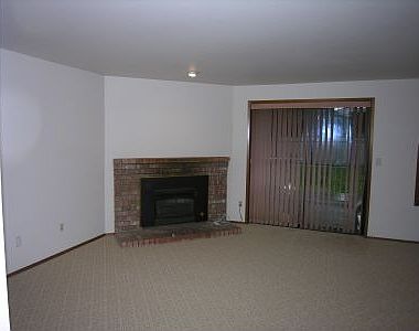 Gas Fireplace