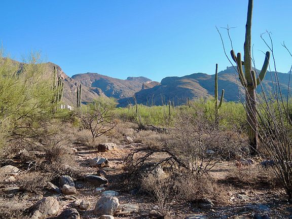 3rd image of 7573 N Mystic Canyon Dr Unit 322