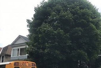 2nd image of 1515-17 Bellevue Ave