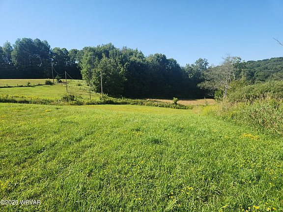 4th image of 1329 Shaffers Notch Rd