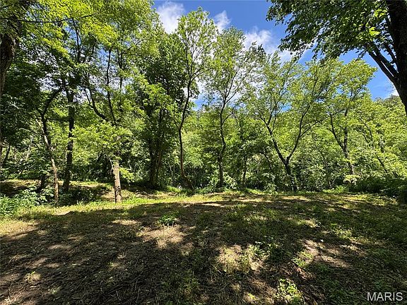 5th image of 15907 Steam Hollow Dr