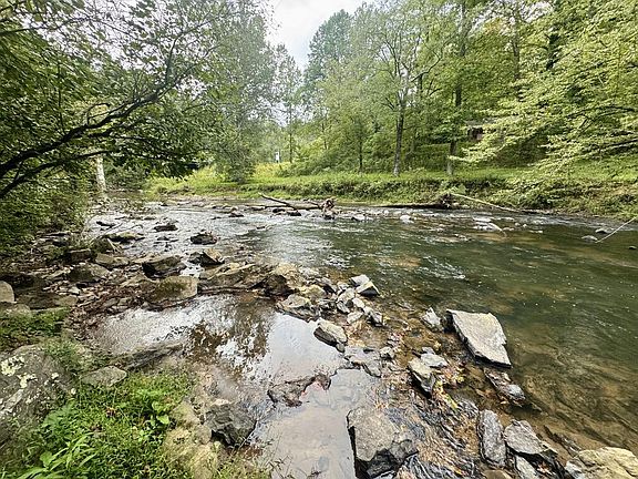 5th image of 3744 Tails Creek Rd