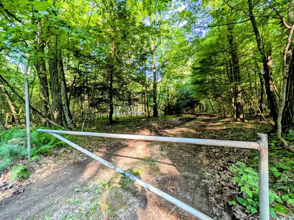 1663 Stitzinger Rd, Tionesta, PA 16353