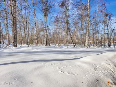 22107 S I St, Talkeetna, AK, 99676