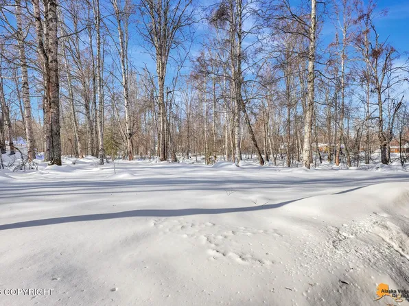 22129 S I St, Talkeetna, AK 99676